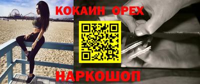 крисы Моздок
