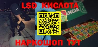 крисы Моздок