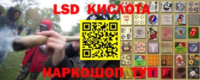 крисы Моздок