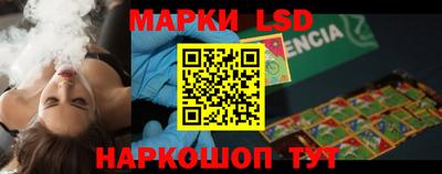 крисы Моздок