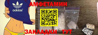 крисы Моздок